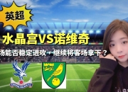 开云体育在线-诺维奇主场比逆转水晶宫，全队赛后庆祝雀跃的简单介绍