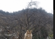 开云APP-绿茵孤星与致命齿轮，2026世界杯A组，波兰力克越南，齐耶赫用默契撕碎唯一剧本