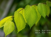 开云体育中国-赫尔辛基之夜，当控球成为信仰，日本队的绝杀是必然而非奇迹