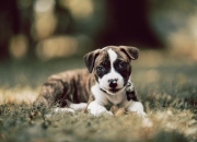 开云体育在线-同一夜冰与火，勇士奇迹逆转背后的东决新王觉醒