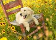 开云平台-谁导演了这场逆转神话？加维的完美舞步与雷恩的绝杀传奇