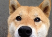 开云体育登录-当曼城奏凯，约基奇登基，一个体育之夜的两种伟大