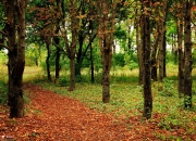 开云下载-金玟哉爆发牵动三线棋局，从亚洲铁闸到巴黎视野，巴拉圭硬仗的战术启示