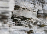 开云体育入口-隐形引擎，绰号魔术师克莱如何用攻防转换的幽灵步伐让国王俯首称臣