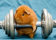 开云体育中国-欧冠半决赛上演跨维打击，山西队宇宙波火力压制湖人 篮球基因统治绿茵场？