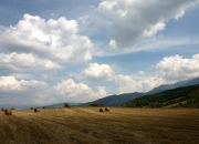 开云官网-跨界风暴，当欧冠决赛的草坪上飞出篮球黄蜂，广东王朝遭遇维度终结