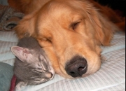 开云体育登录-无解之门，英超争冠夜，门迪用双手划出命运分界线