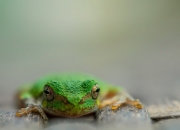 开云sport-于无声处听惊雷，德文·布克的硬仗美学