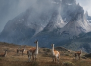 开云体育中国-破壁之战，莫兰特末节救赎，骑士血染北京主场