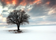 开云官网-数据之冠与沙漠铁壁，福登的爆炸演出与摩洛哥终结墨西哥巨人神话