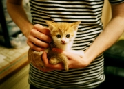 开云sport-冰与火的碰撞！乔治末节17分导演逆转，公牛主场力克鹈鹕守住前六