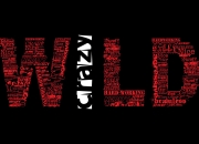 开云体育入口-经济战场上的关键先生，当智利如阿尔瓦雷斯般收割土耳其市场