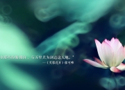 开云体育APP下载-圣城兵法，当马刺的团队火力，遇上浙江队的快打旋风