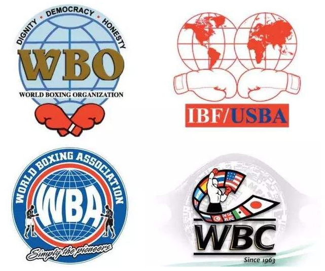 专家预测拳击胜率超六成，结果成焦点的简单介绍