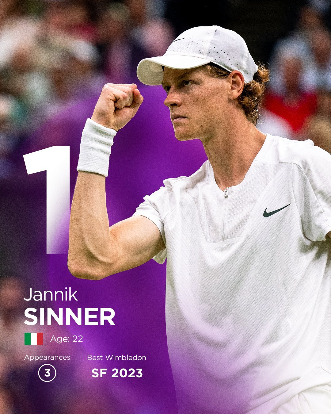 温网翻盘戴维斯杯，鲁德状态火热的简单介绍