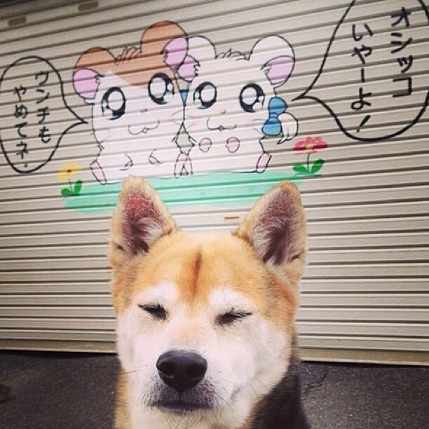 死神镰刀！拉文末节23分撕裂金城，骑士压哨逆转掘金