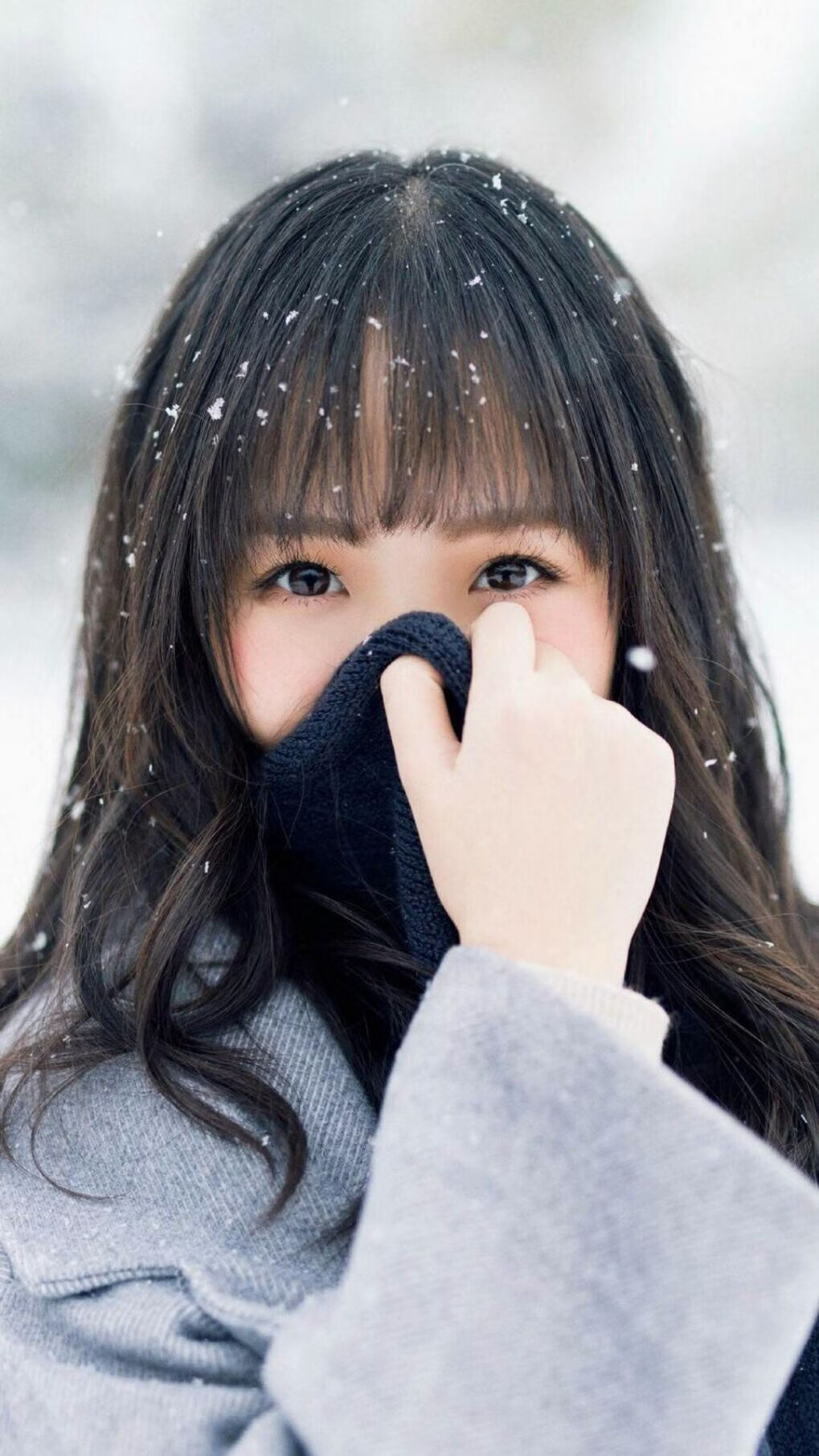 金州破迈阿密战记