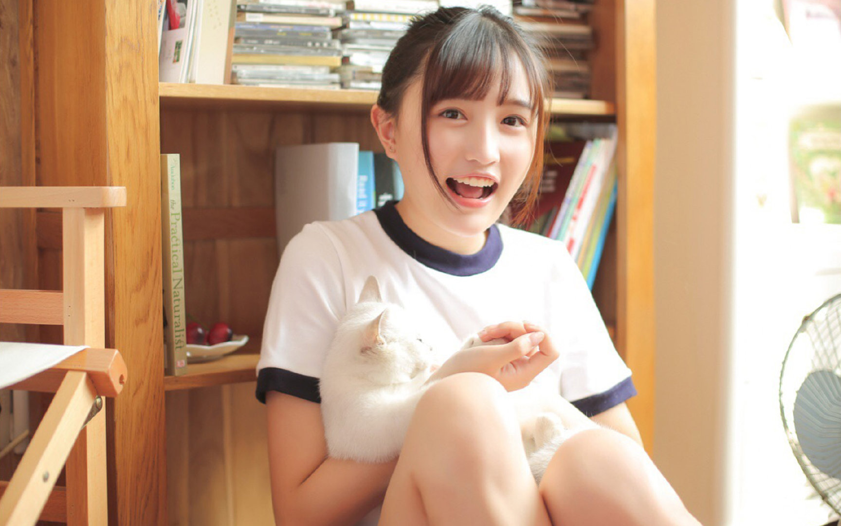 贝恩焚城记,当热火三秒区沦为灰熊后花园的夜晚