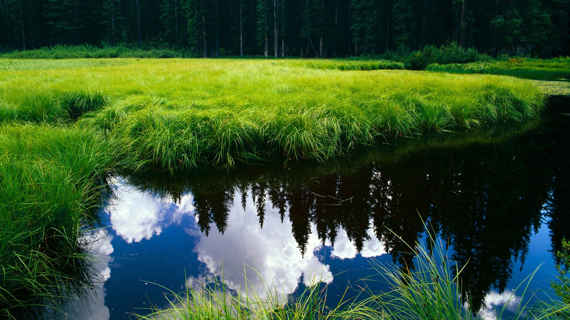 冰封绝杀！伦纳德鏖战边陲，一球封神定天山
