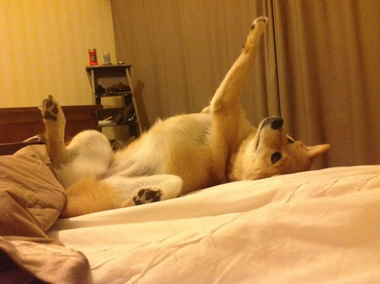 弃将审判旧主!他用68秒击碎曼城王朝,老特拉福德高呼新王之名