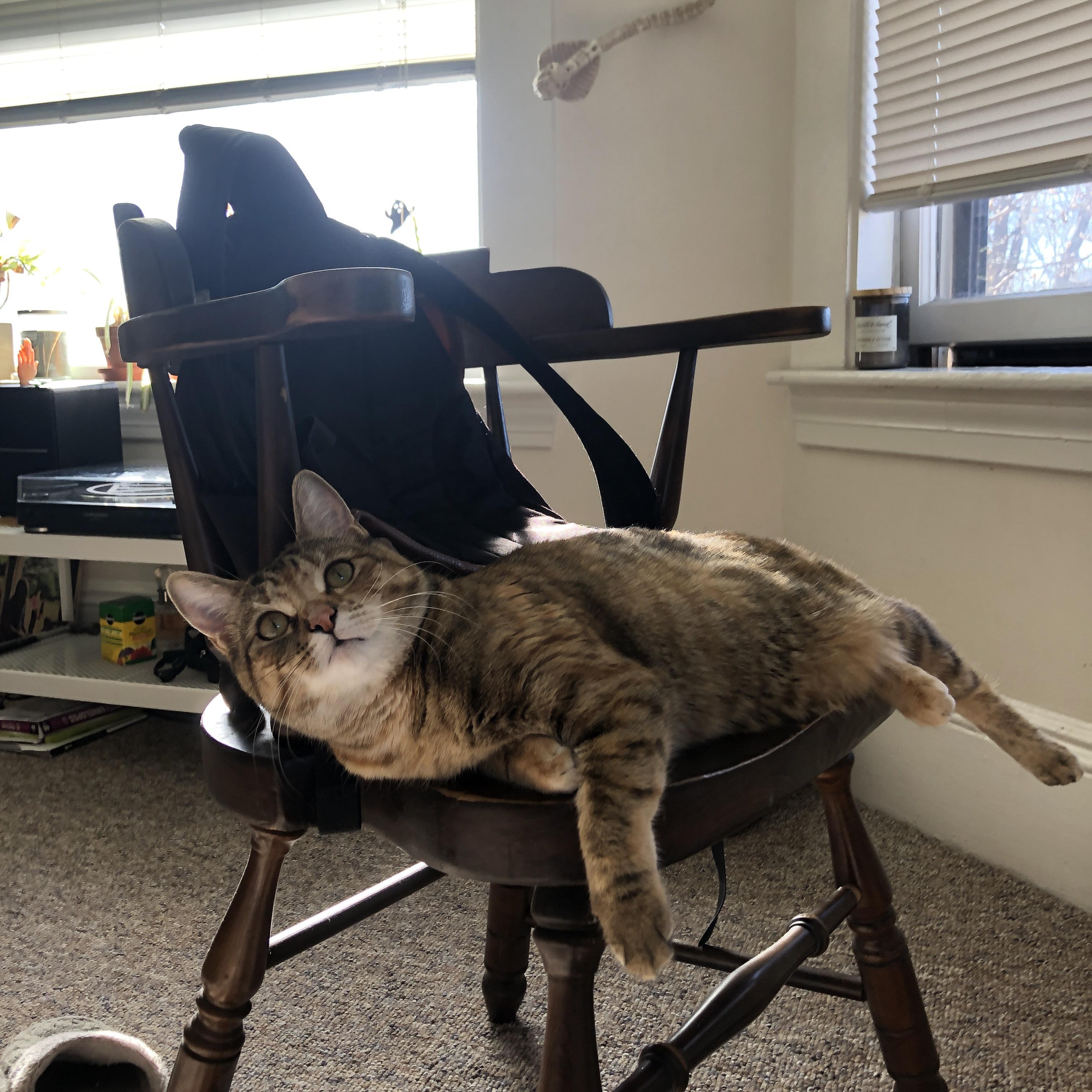 最后的守护者，奥纳纳用双手为球队赢得欧冠