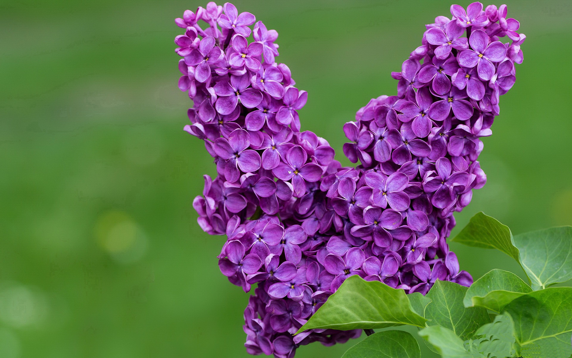 从足球到篮球,曼城防守哲学在东决焦点战中的制胜钥匙