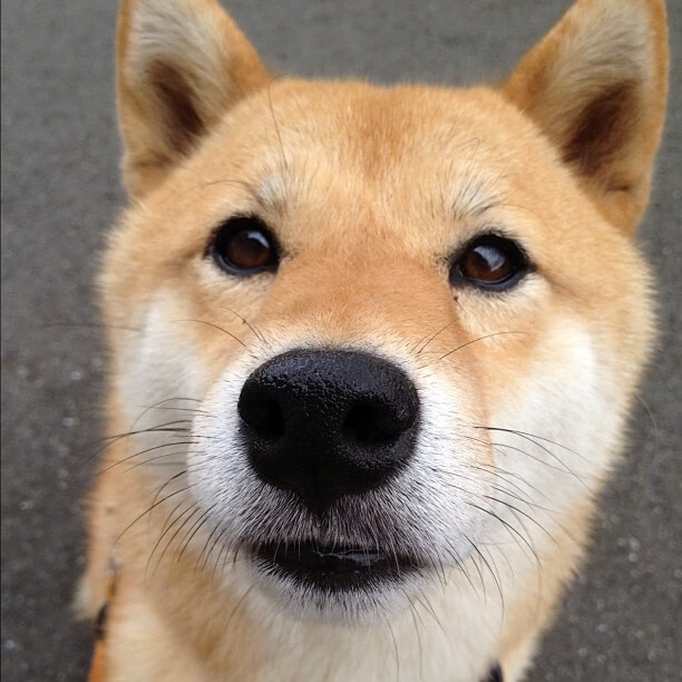 当曼城奏凯，约基奇登基，一个体育之夜的两种伟大