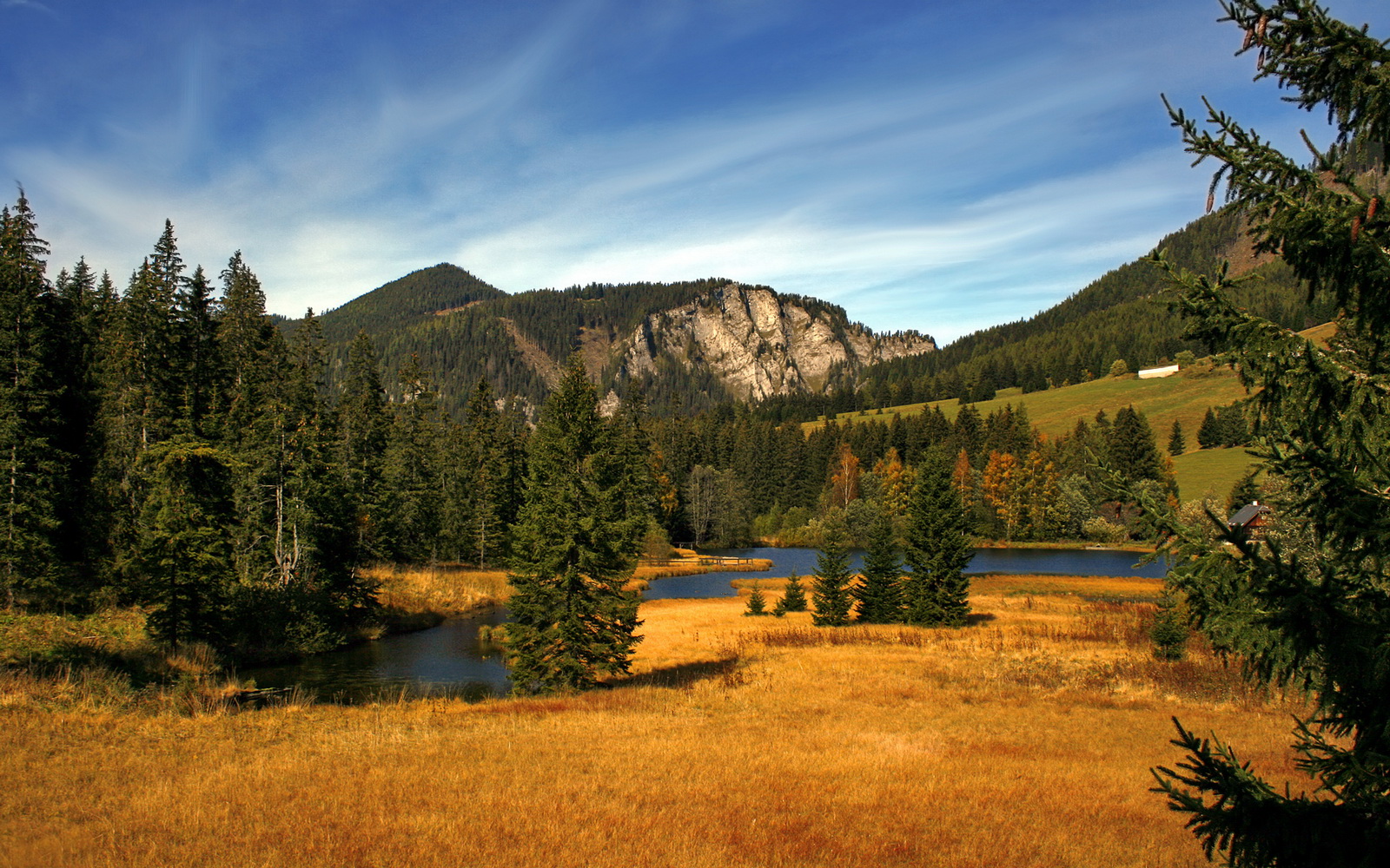 欧冠淘汰赛之夜的篮球化身,德罗赞状态火热谱写传奇