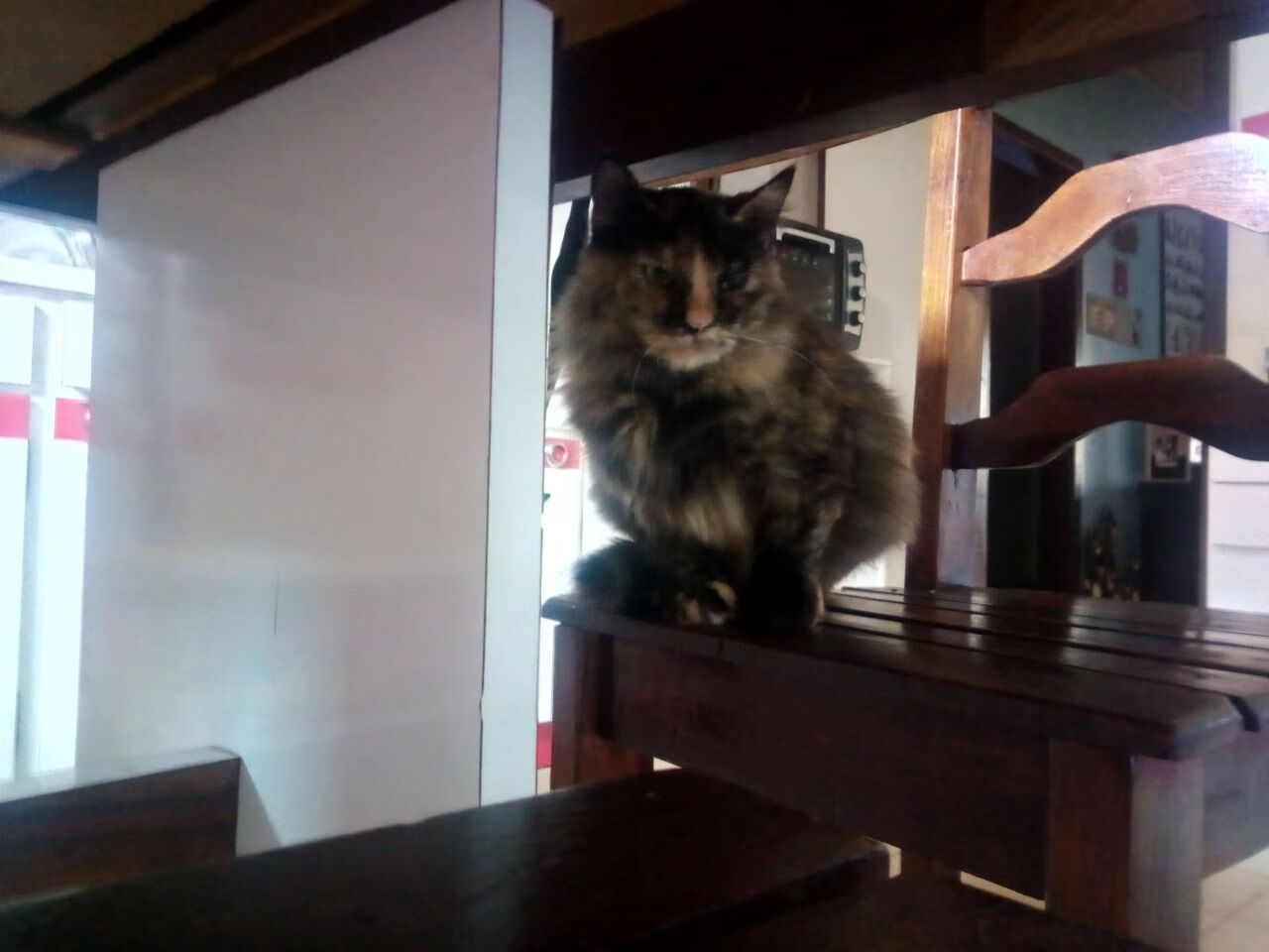 从智利铁索到法国密钥,卡马文加如何在2026世界杯锁死未来