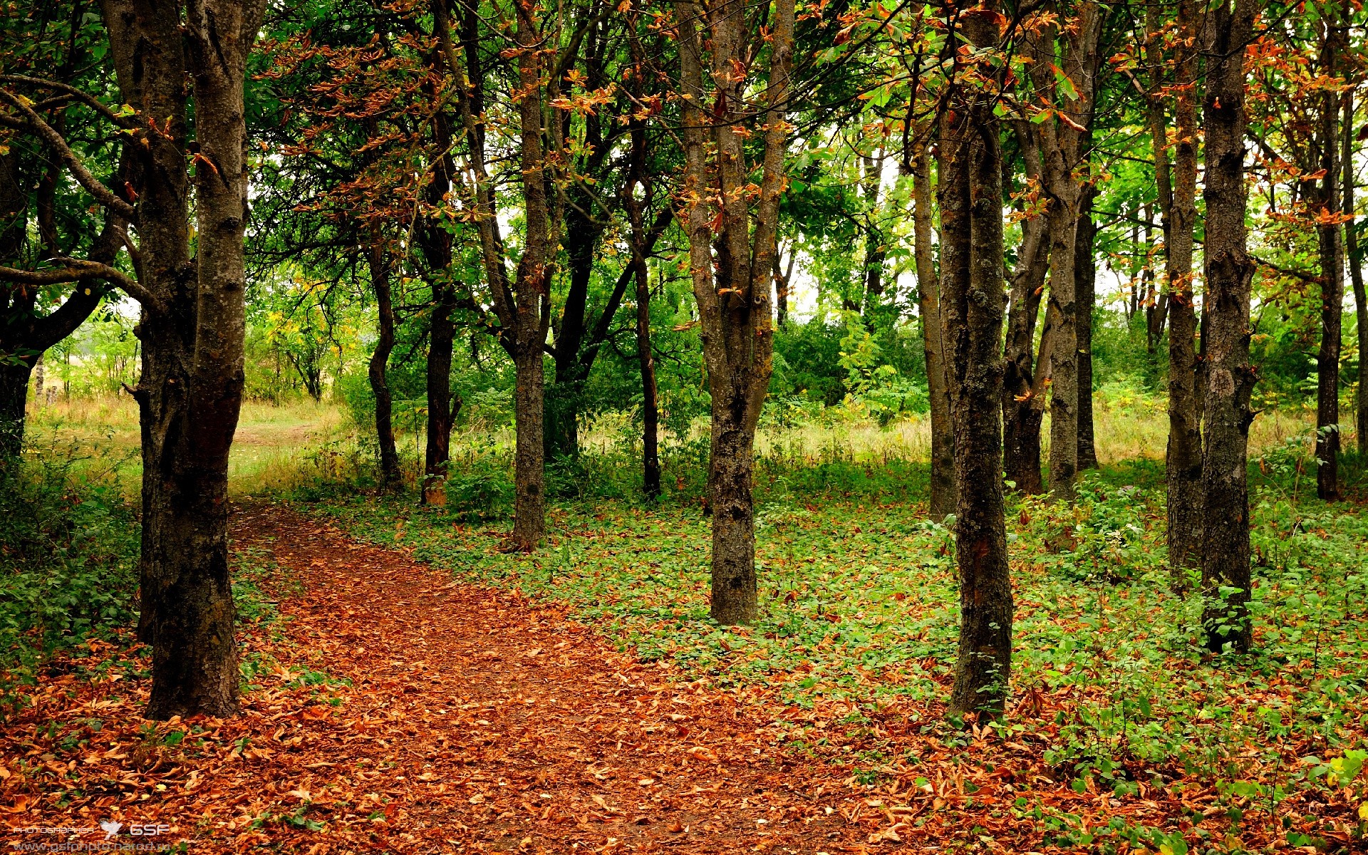 金玟哉爆发牵动三线棋局，从亚洲铁闸到巴黎视野，巴拉圭硬仗的战术启示