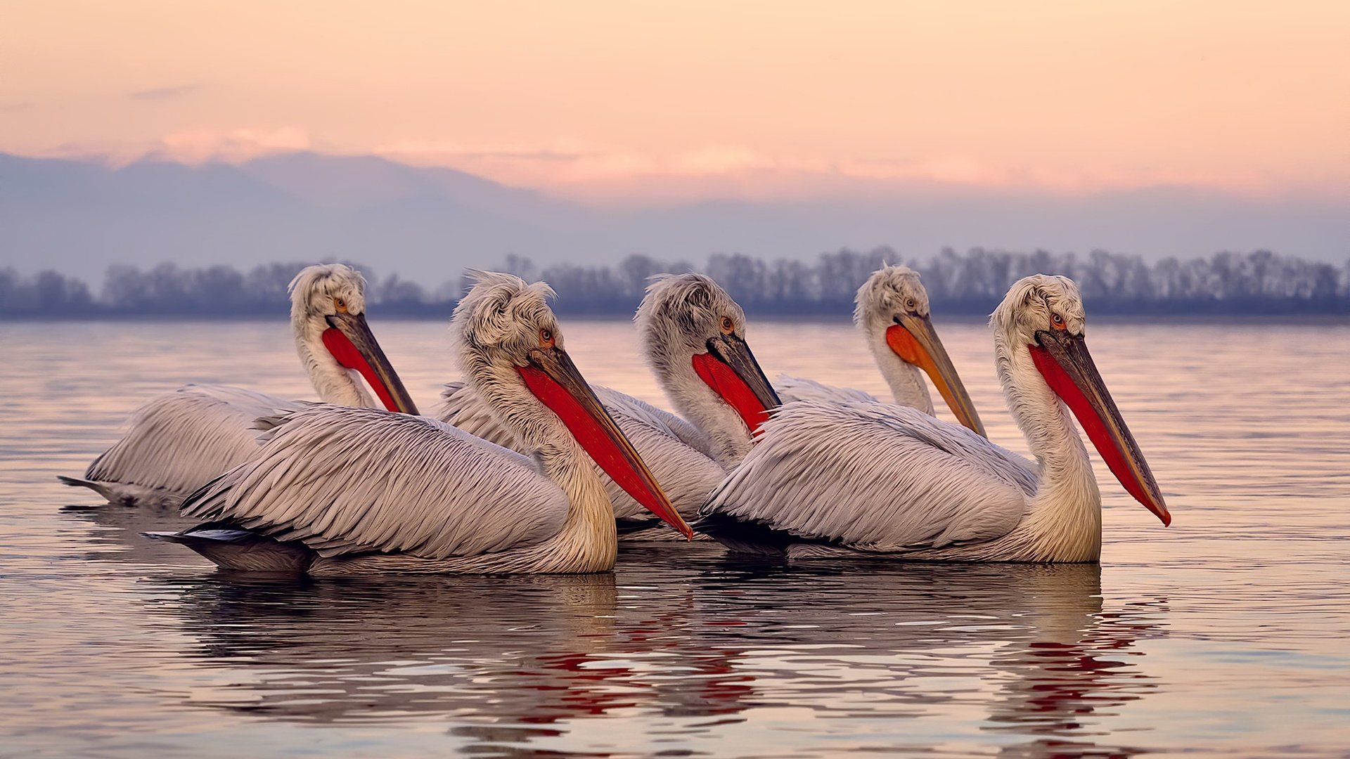 从伦敦雾到里昂光,一场被史册单独陈列的欧冠逆转