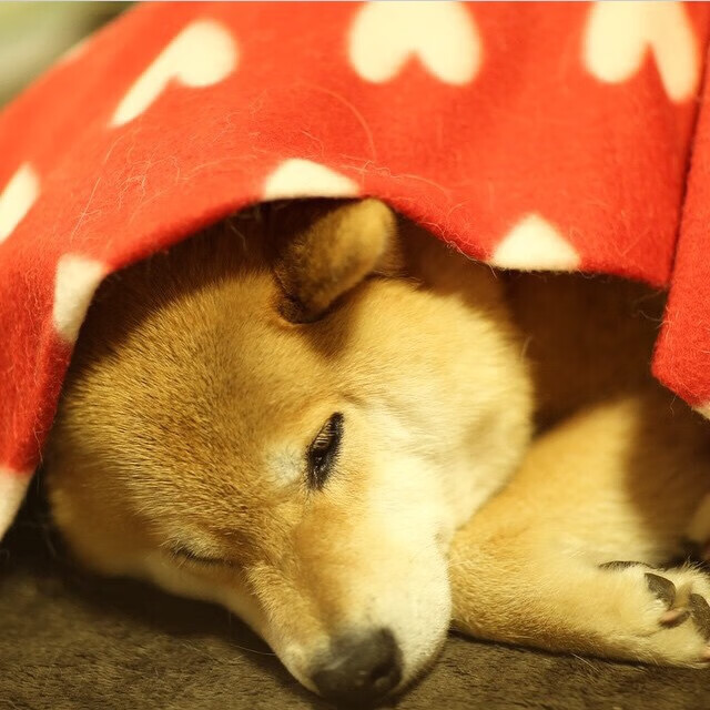 西决的窒息时刻，与瑞士冰冷的逆转，竞技体育如何定义活着？