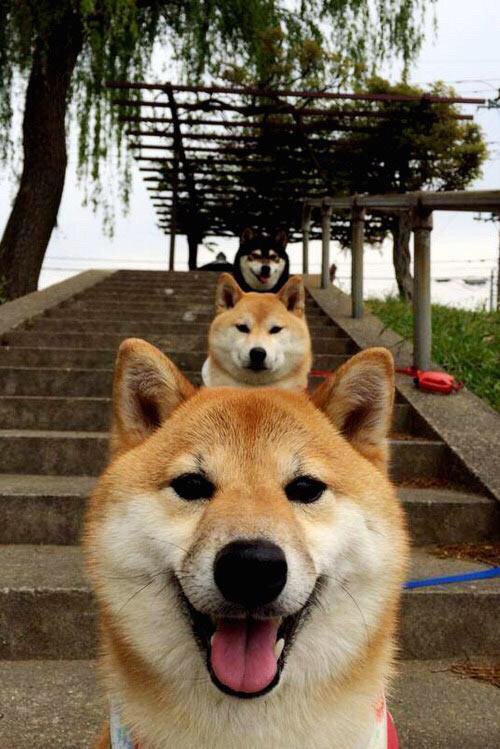 七十四分钟的终结者,罗马强行终结拉齐奥,恩佐的孤独闪耀让比赛提前失悬念