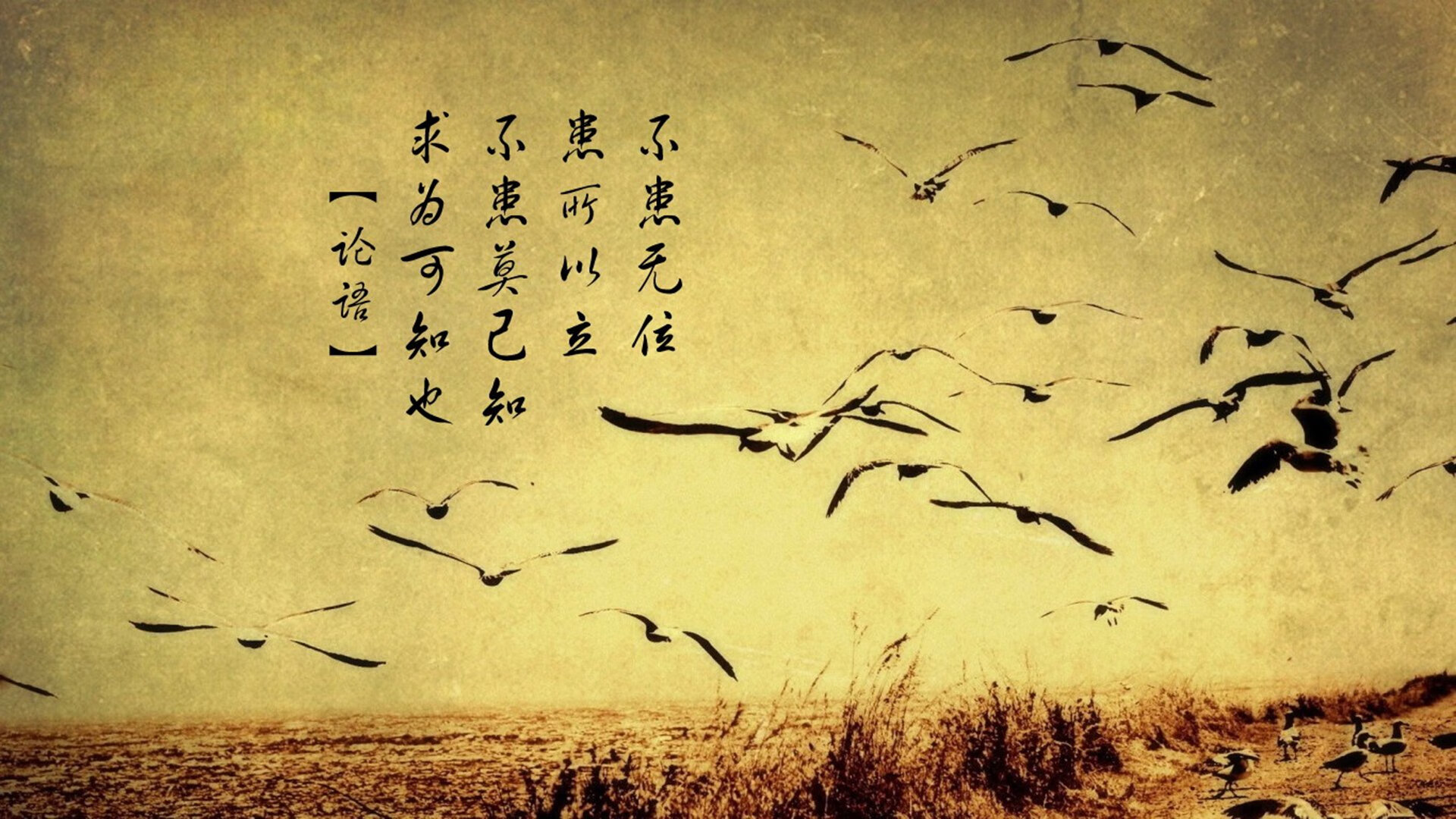 绿茵与硬木的交响,当欧冠绝平之夜遭遇雷霆万钧的逆转哲学