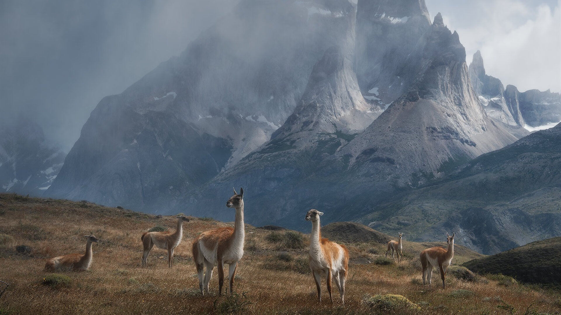 破壁之战,莫兰特末节救赎,骑士血染北京主场