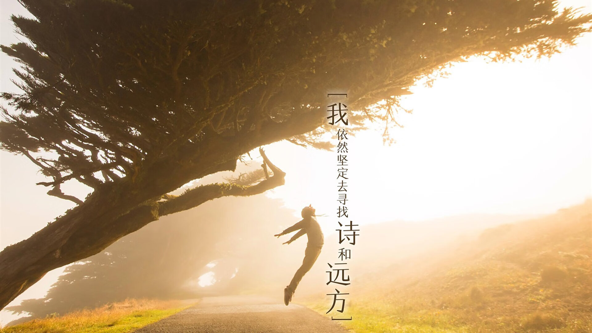 东方迷阵对垒汽车城铁壁,范弗利特致命一击诠释何为关键先生