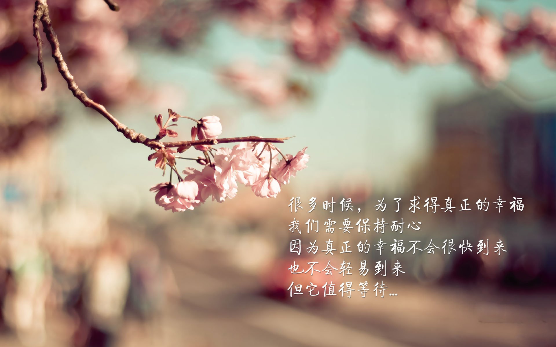 欧冠烽火映汾河，山西猛虎胜勇士—记一场跨越时空的荣耀对决